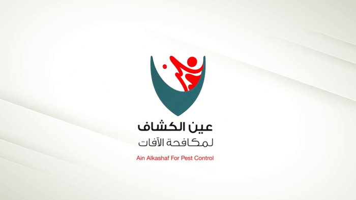 موشن جرافيك