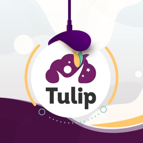روضة توليب - Tulip